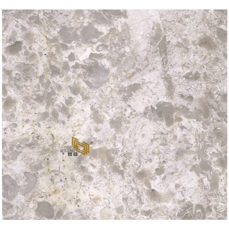 Marble White/Grey/Brown Marble Countertop/Vanitytop/Table/Kitchen/Bathroom/Slab Floor Tiles Building Material