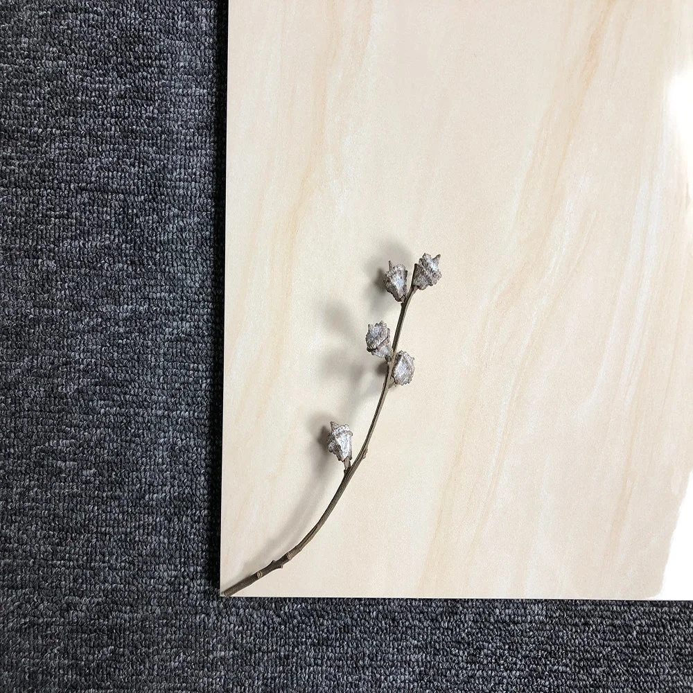Modern Style Wear-Resistant Ceramic Wall Tile with ISO Certification