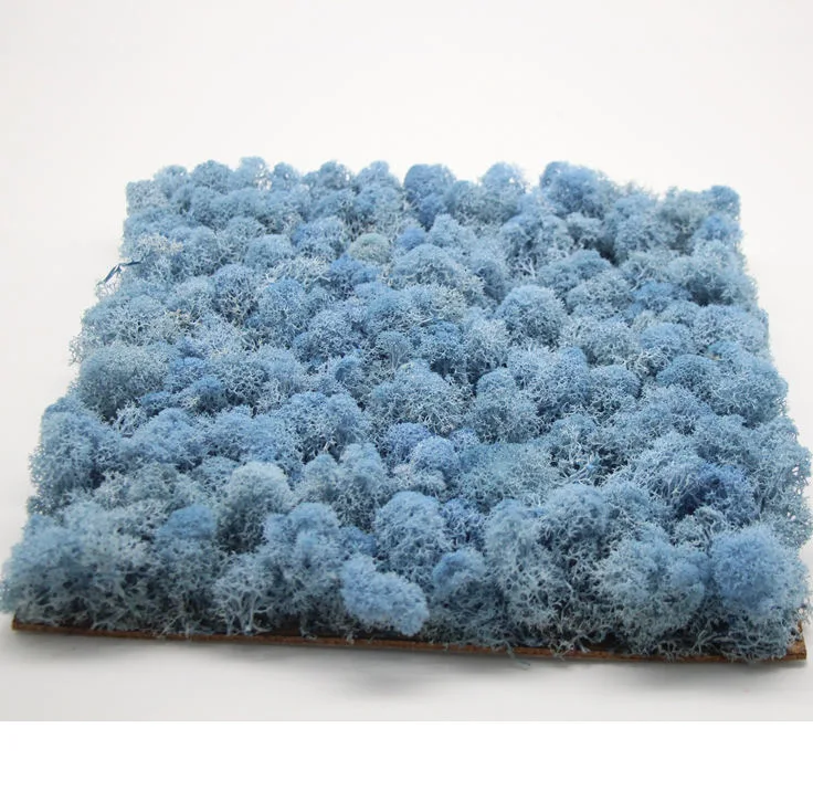 New Ideal Plant Wall Stabilized Moss Wall Irish Moss Tiles Preserved Moss Tiles