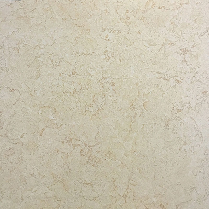 Building Material Inkjet Series Rustic Ceramic Tile 80X80