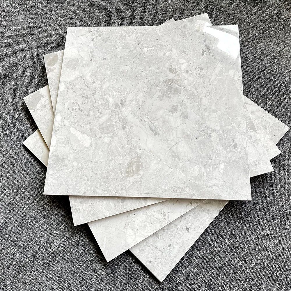 Glossi Carreaux Porcelain Floor Tiles 60 by 60 Tiles for Floor