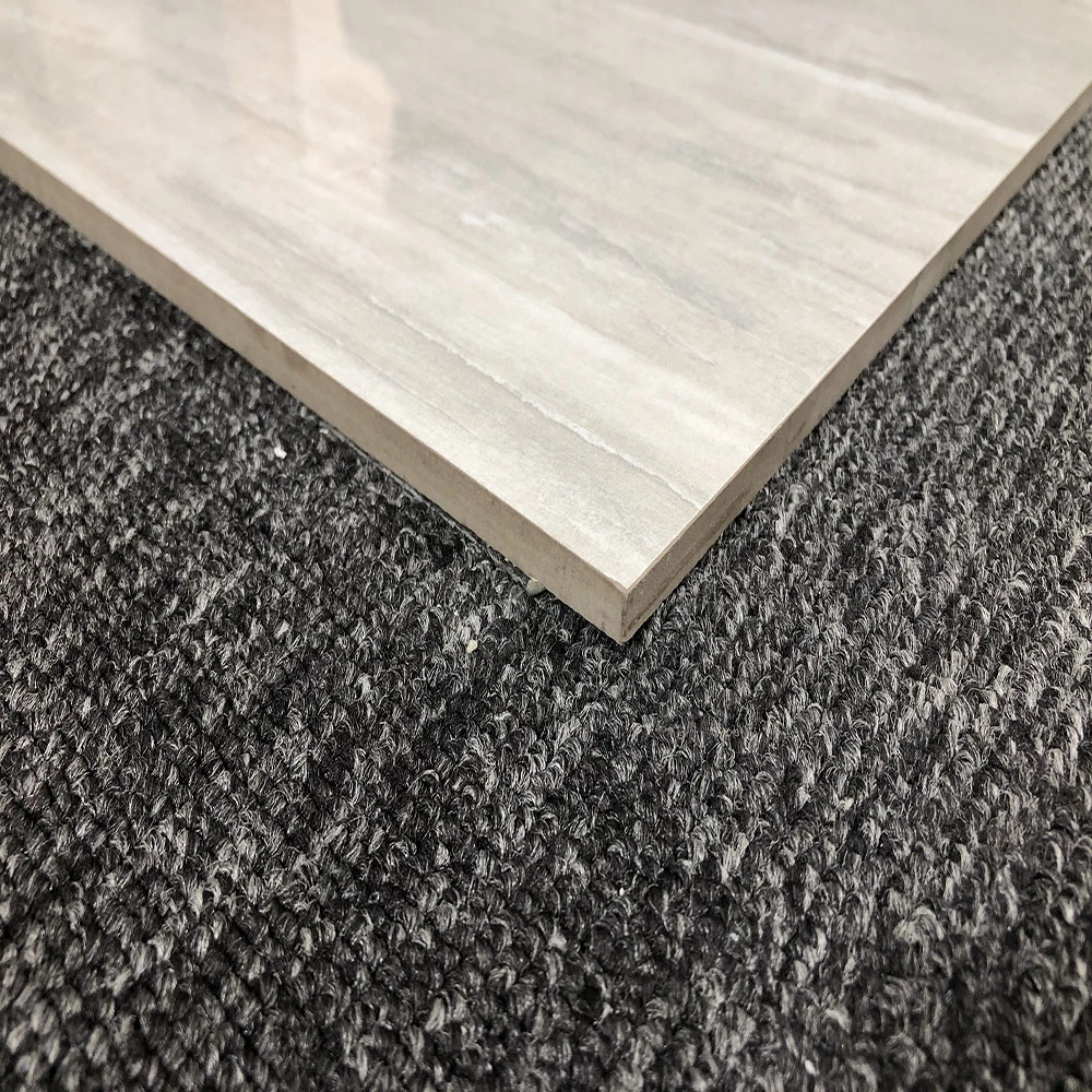 AAA/ 1st Choice Grade 600X600 Kitchen Tiles Porcelain Tile 6901p