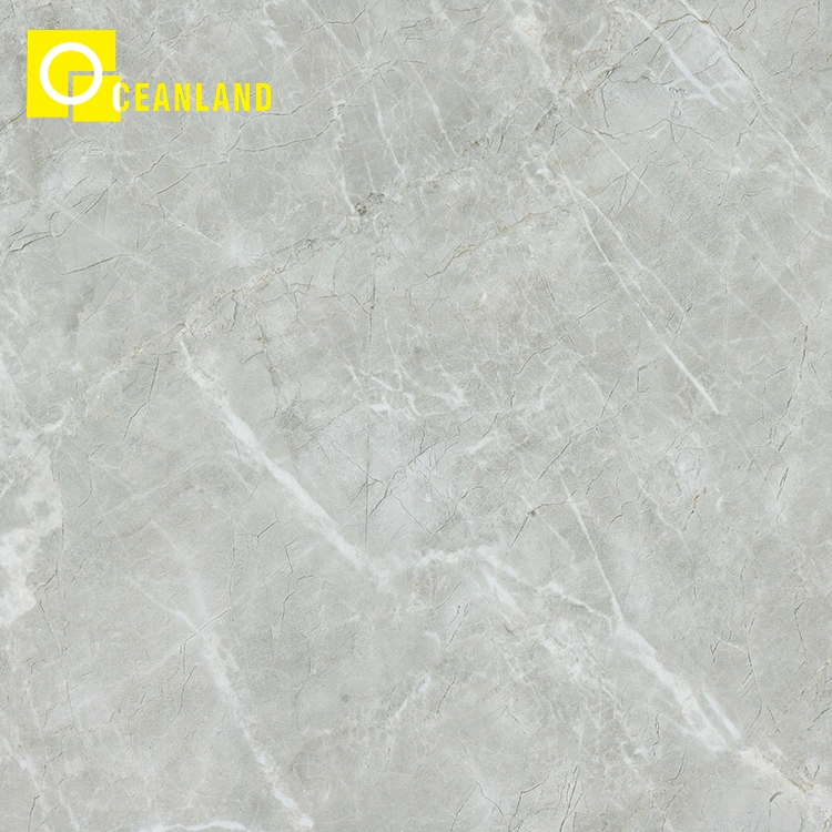 Waterproof Modern Ceramic Tile Household Construction Material Porcelain Tiles