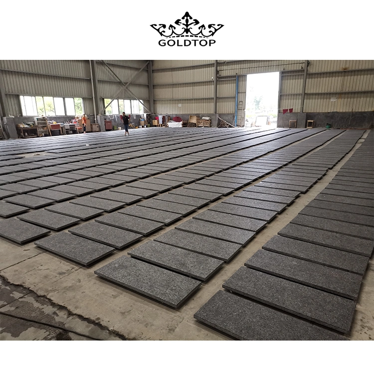 Angola Black Granite Slab Cut to Size Floor Tiles for Interior Exterior Wall Floor