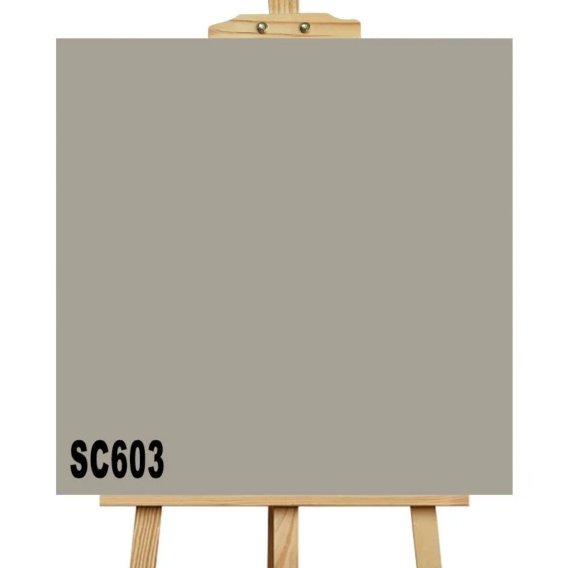 600X600mm Grey Porcelain Tile Rusctic Floor Tile Ceramic Wall Tile