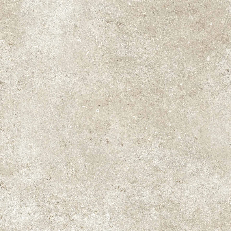 Matt Tile Rustic Ceramic Floor Tiles Modern Design (600*600)