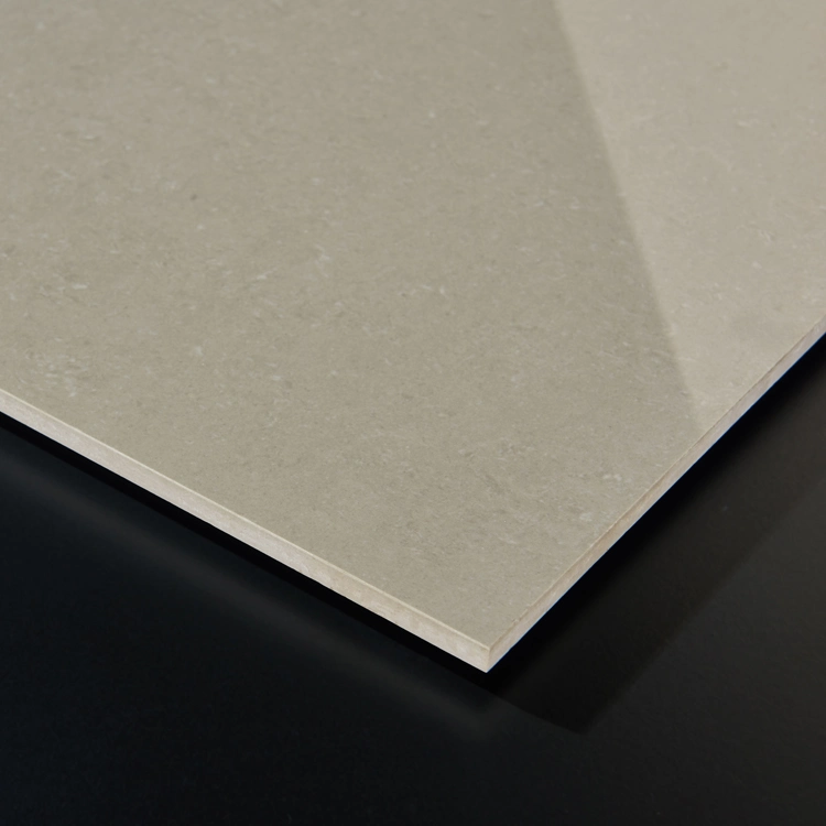 High Quality Porcelain/Ceramic 600X600X10mm 30X30/30X60/60X60cm China Ceramic 60X60 Tiles Porcelain Floor Tile