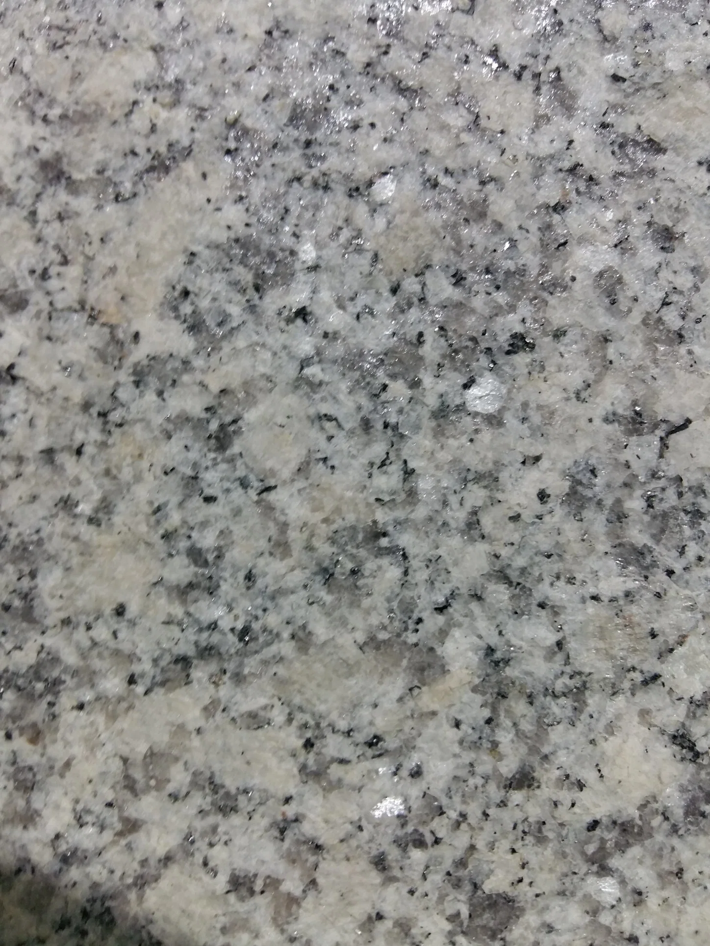 Bianco/Cristal Granite Walling /Flooring/Staircase Cheap Grey Sesame Granite Stone Paving Tiles/Slabs