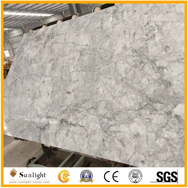 Popular Natural Stone Calacatta Grey Marble Slabs for Floor/Wall Tiles