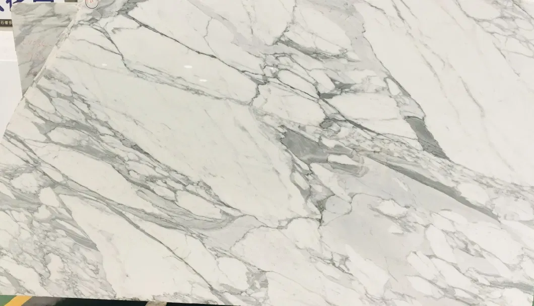 Marble Stone White Fish Belly for Building Wall/ Stair/ Floor Tiles