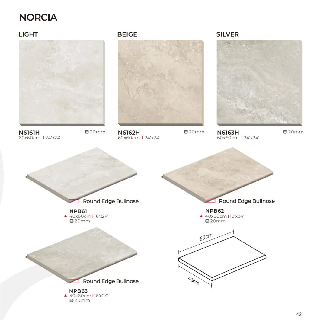 Porcelain Paver 20mm Outdoor Porcelain Tile 60X60 Full Body Non Slip R10/R11 600X600/600X1200mm Garage Tile