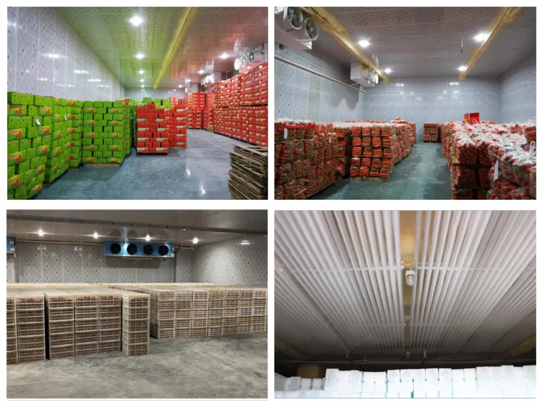 Competitive Factory Price Cold Room Freezer Room for Egg Chiller Room