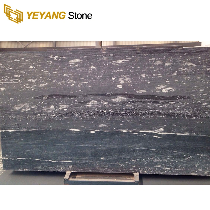 Marble Wall Tile Marble Slab for Kitchen Top Marble/Onyx Supplier