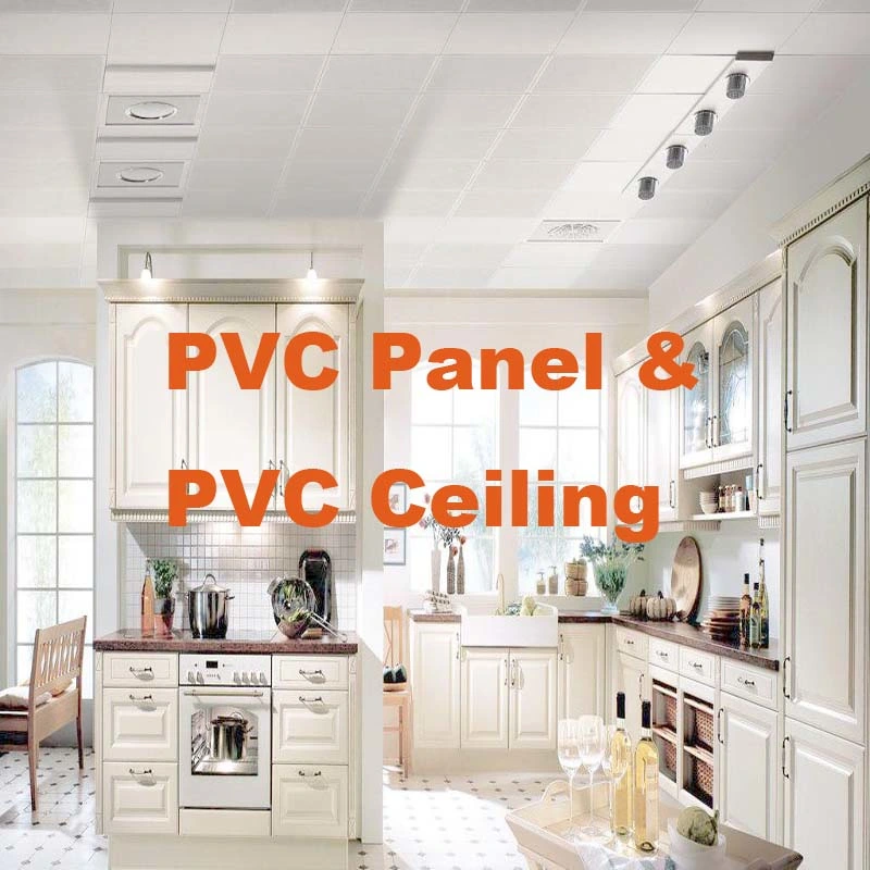 Interlocking Interior Wall PVC Panels Suspended Ceiling Tiles Nigeria Price