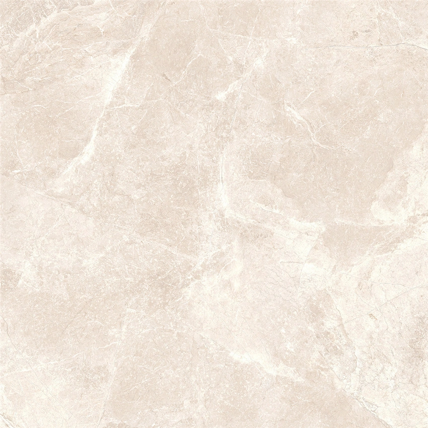 800*800mm Porcelain Tile