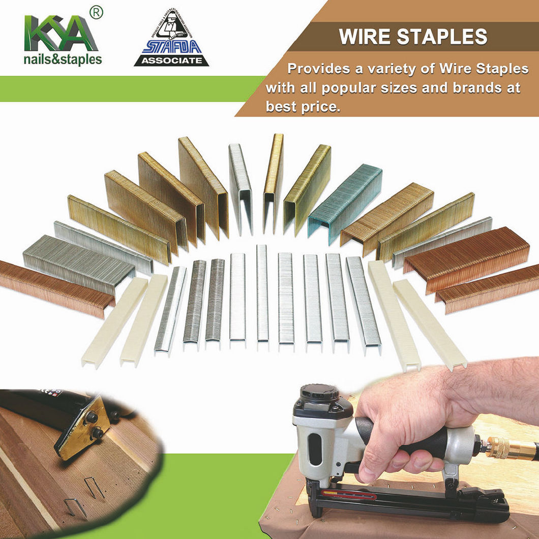 BCS4 Series Heavy Wire Staples for Cedar Shingles