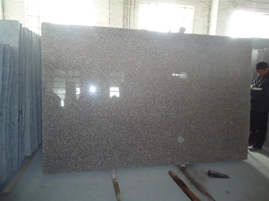 Wholesale Natural Red Granite G664 Floor Tiles for Paving