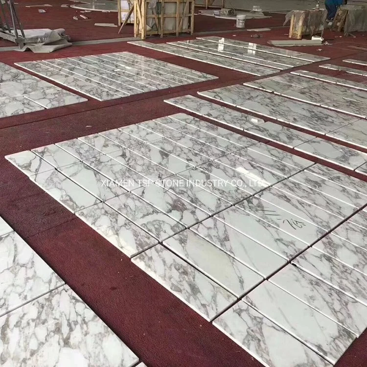 Modern Arabescato Venato Carrara White Marble Tile