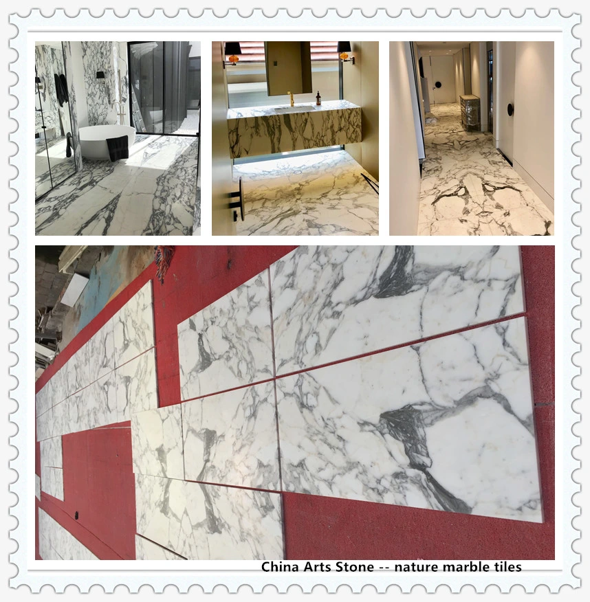 China Nature Snow White Marble for Slab and Tiles