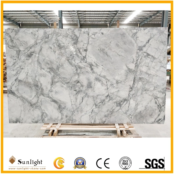 Popular Natural Stone Calacatta Grey Marble Slabs for Floor/Wall Tiles