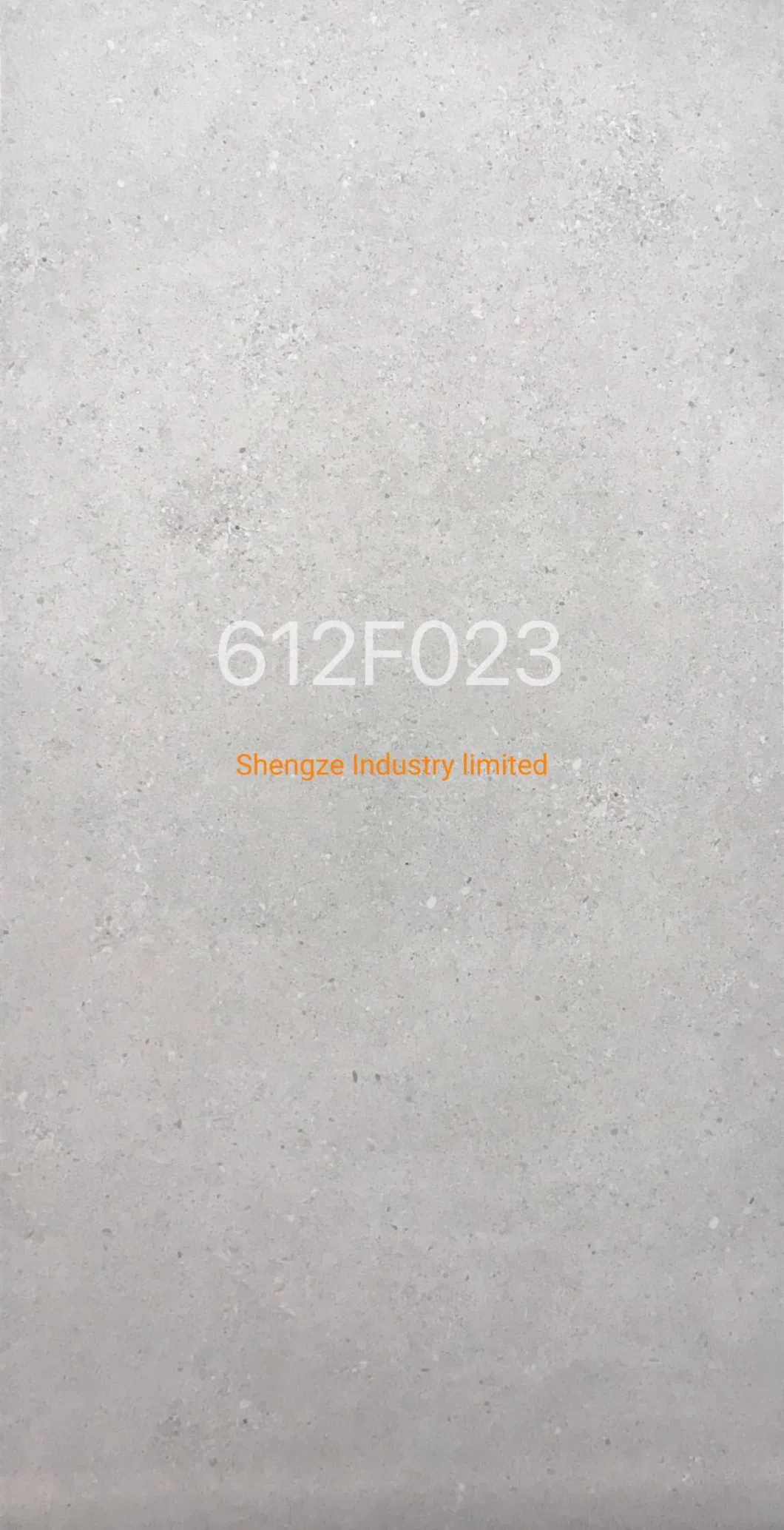 Matt 60X120 Rustic Anti-Slip Porcelain Floor Tile Porcelanato Flooring Grey