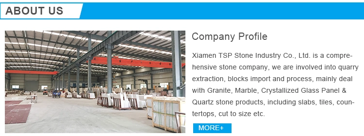 China Overlord King Flower Grey Marble Slabs Tiles