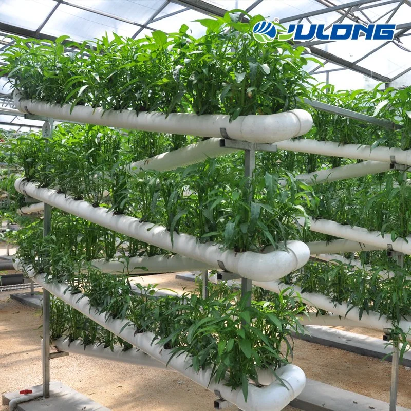 La agricultura Multispan Film para la siembra de cultivos hidropónicos de efecto invernadero Vegatables