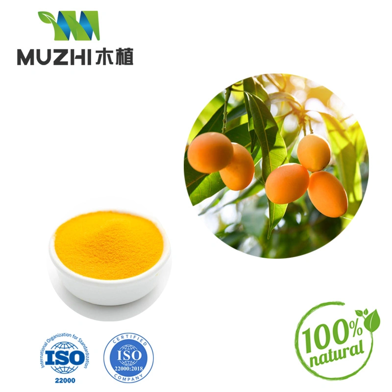 China Wholesale grueso Precio 100% orgánico puro polvo de jugo concentrado de fruta monje