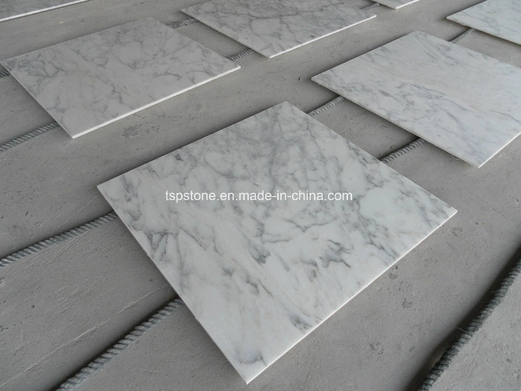  Arabescato Venato modernos azulejos de mármol blanco de Carrara