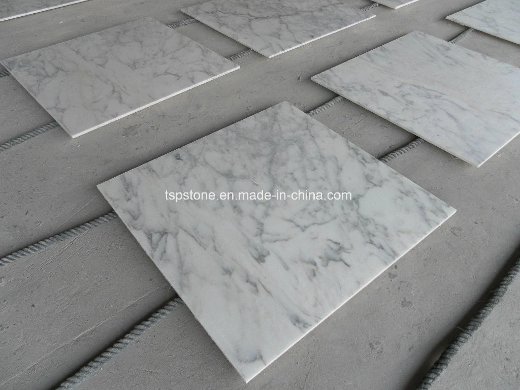 Arabescato Venato modernos azulejos de mármol blanco de Carrara