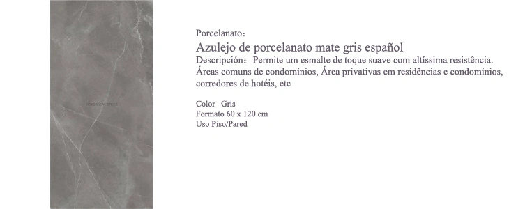 Spanish Light Grey Matte and Polished Porcelain Floor Tile