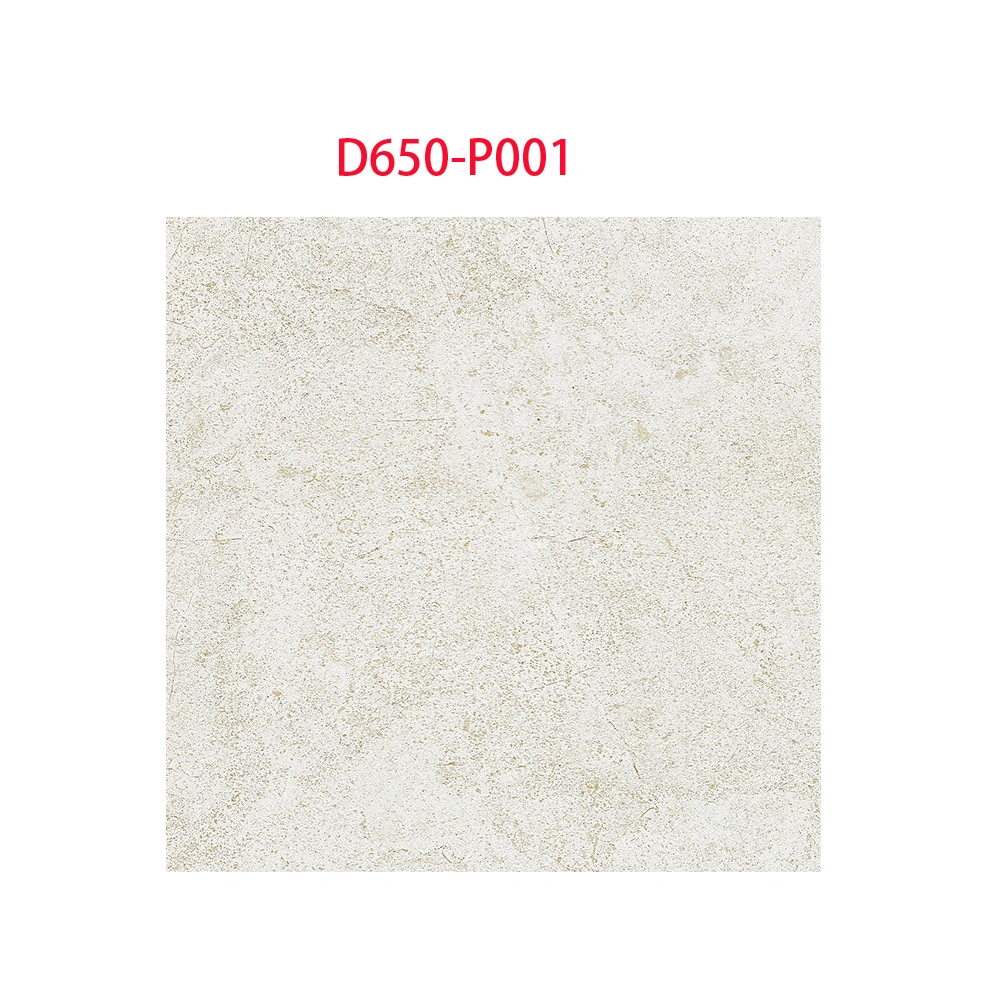 600X600 Home Decoration Matte Cement Floor Porcelain Tiles