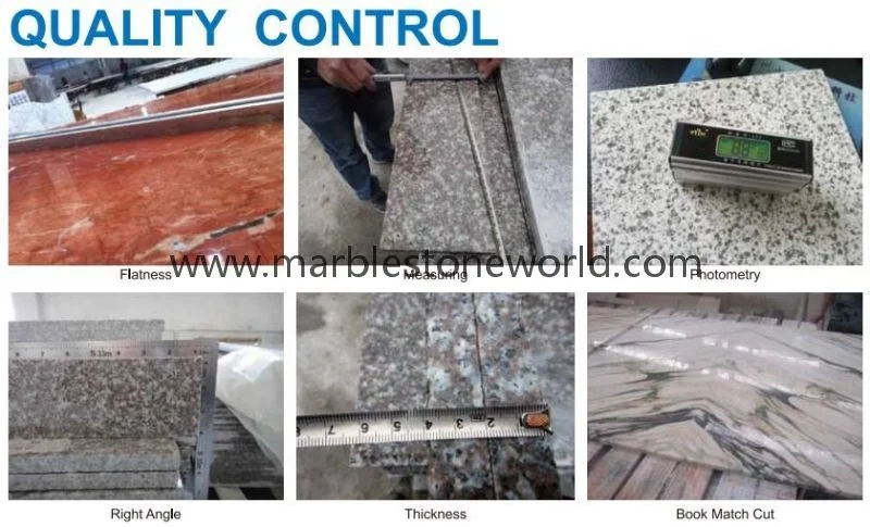 Chinese Marble/Granite/Quartz/Stone Wall/ Floor Tile for Flooring