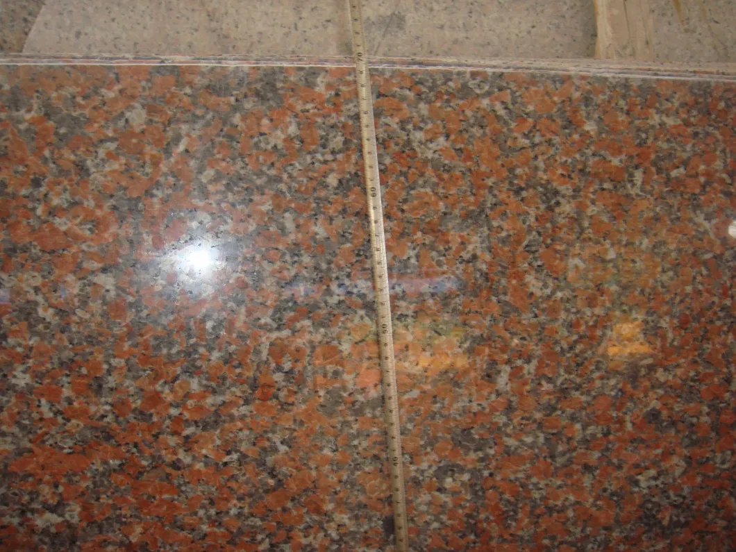 Cheap Chinese G562 Maple Red Interior Granite Floor Tile