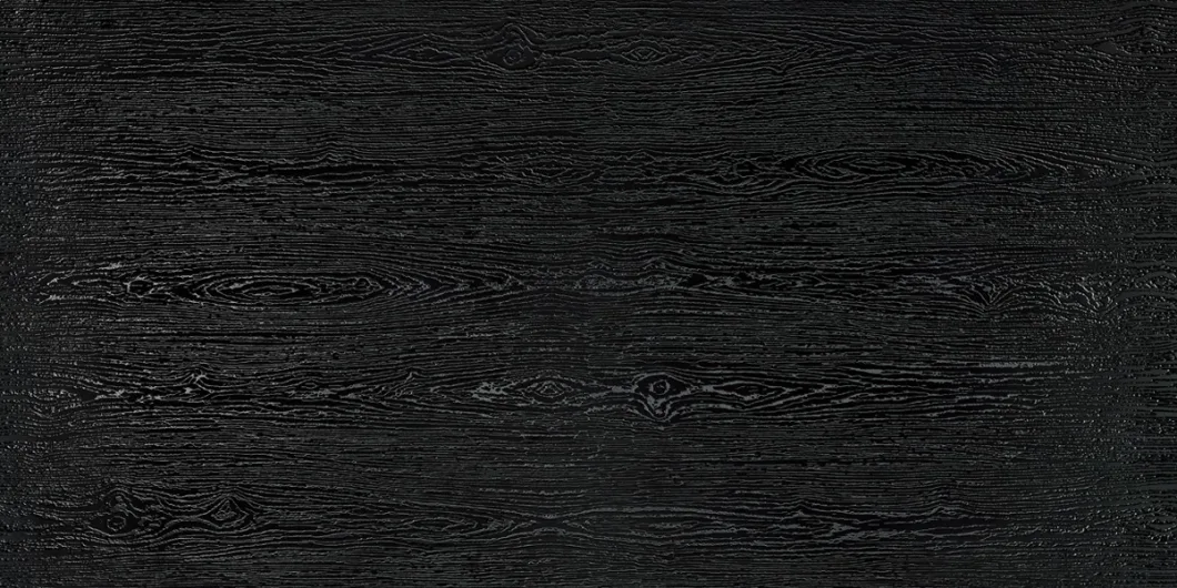 High Quality Black Color Glazed Porcelain Tile for Home Decoration 600X1200mm)