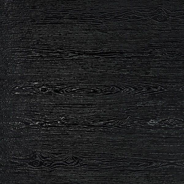 Building Material Black Color Rustic Tile Floor Tile for Home Decoration 600X600mm