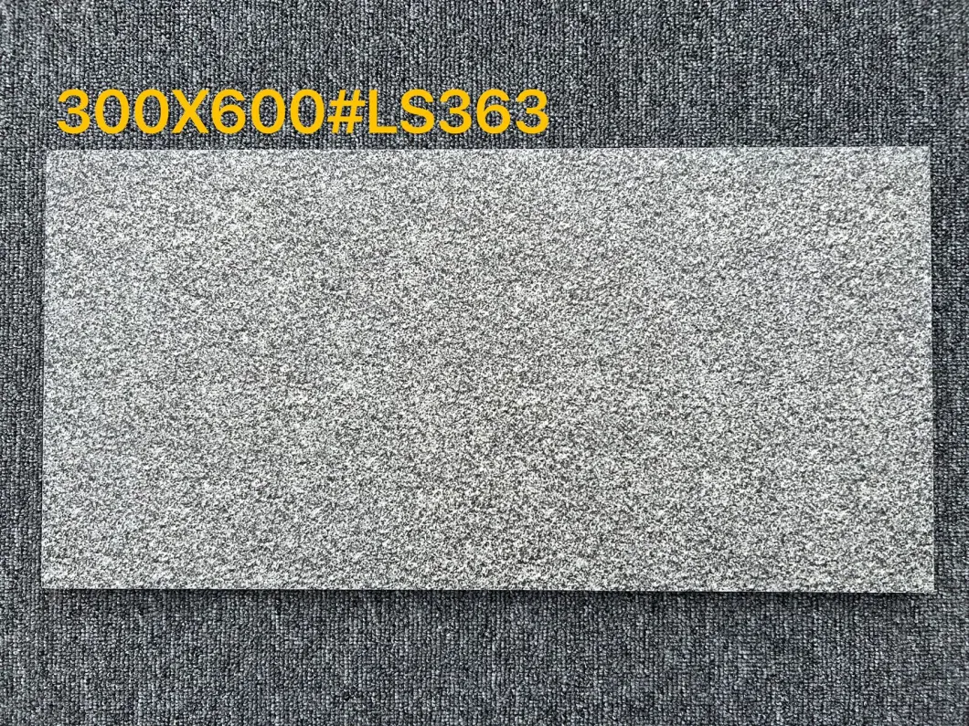 Full Body Ceramic Tiles for Garage Outdoor Rustic Porcelain Granite Floor Tiles 300X600mm Ls363