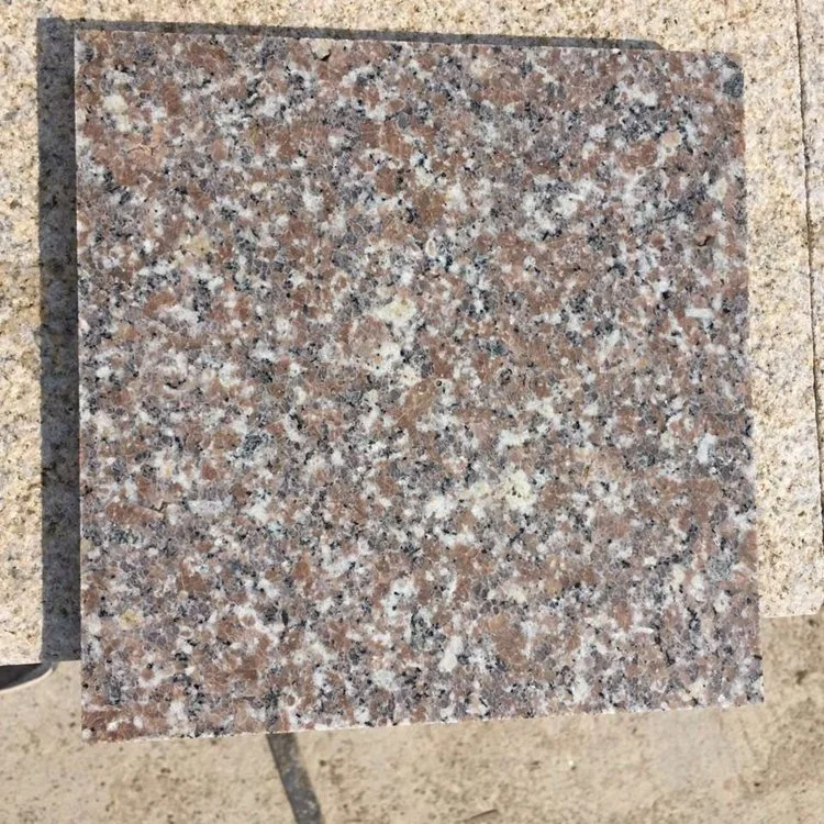 Hot Sell Chinese Bianco Light Dark Padang Grey Sardo Granite G664/G687g623/G654/G439/G603 Granite Floor Tile