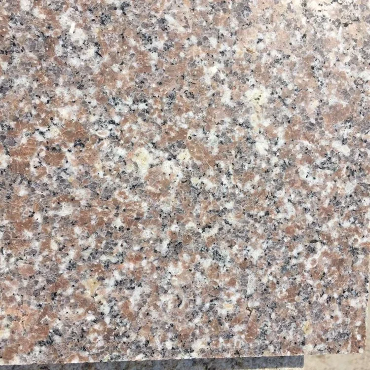 Hot Sell Chinese Bianco Light Dark Padang Grey Sardo Granite G664/G687g623/G654/G439/G603 Granite Floor Tile