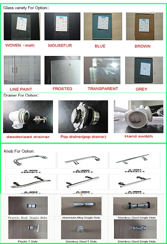 Black Pivot Simple Bathroom Shower Door (TL-841)