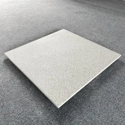 Наружные 2 см толщиной не серого скольжения на открытом воздухе керамические фарфора за пределами Garden Floor плитки