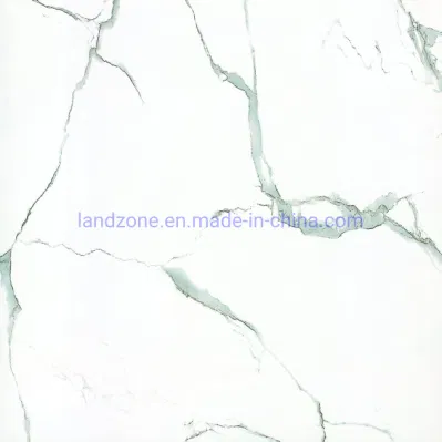  Белым мраморным полом керамические плитки на стене