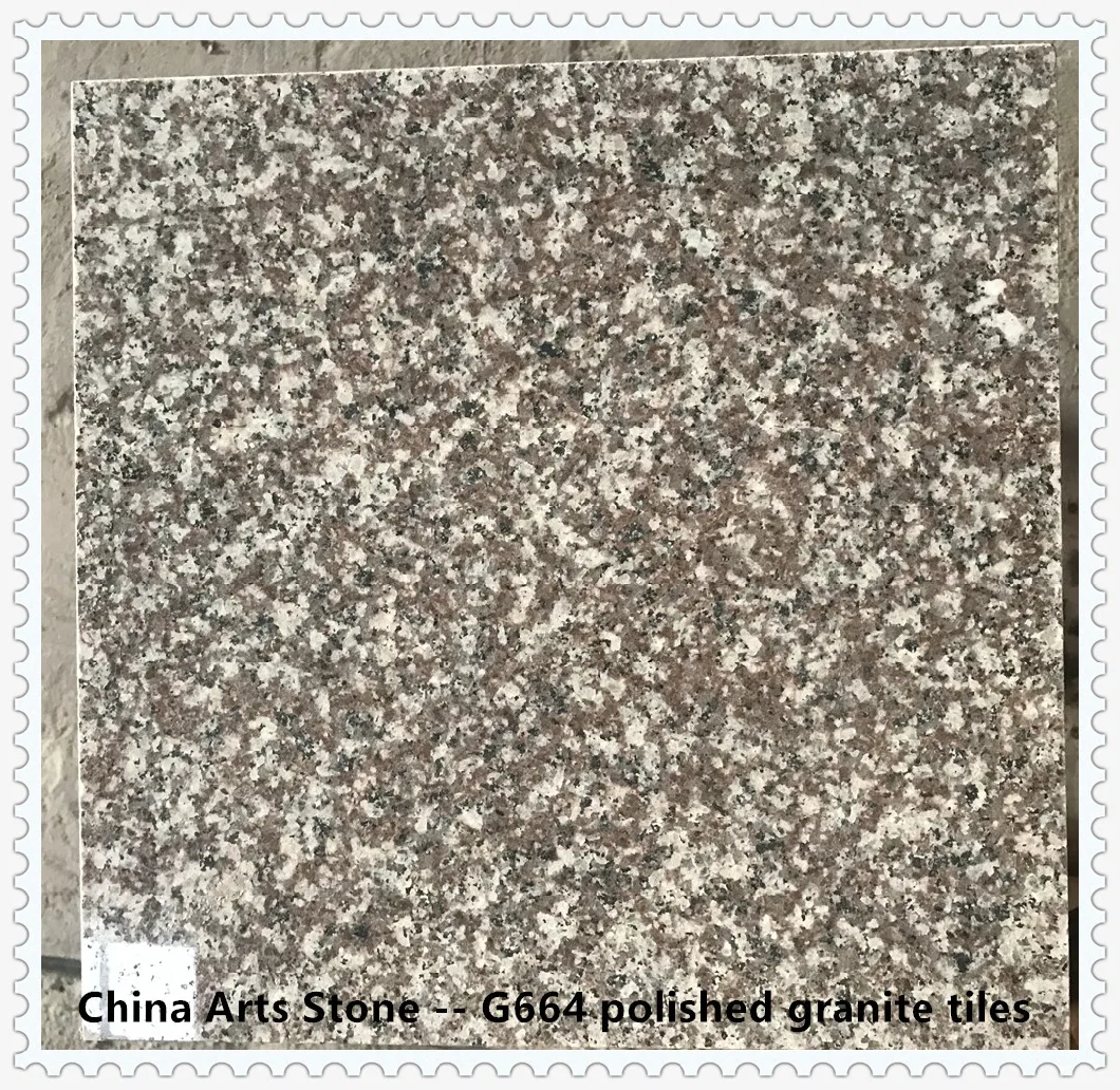 10% Price off -China Polished or Flamed G603 White/Grey Granite Tile