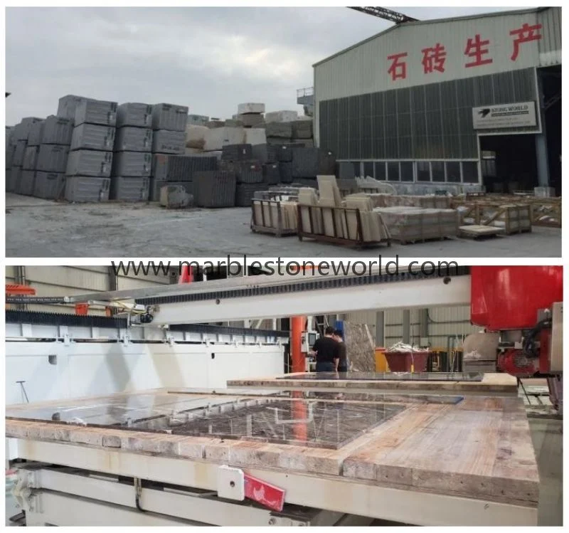 Chinese Marble/Granite/Quartz/Stone Wall/ Floor Tile for Flooring