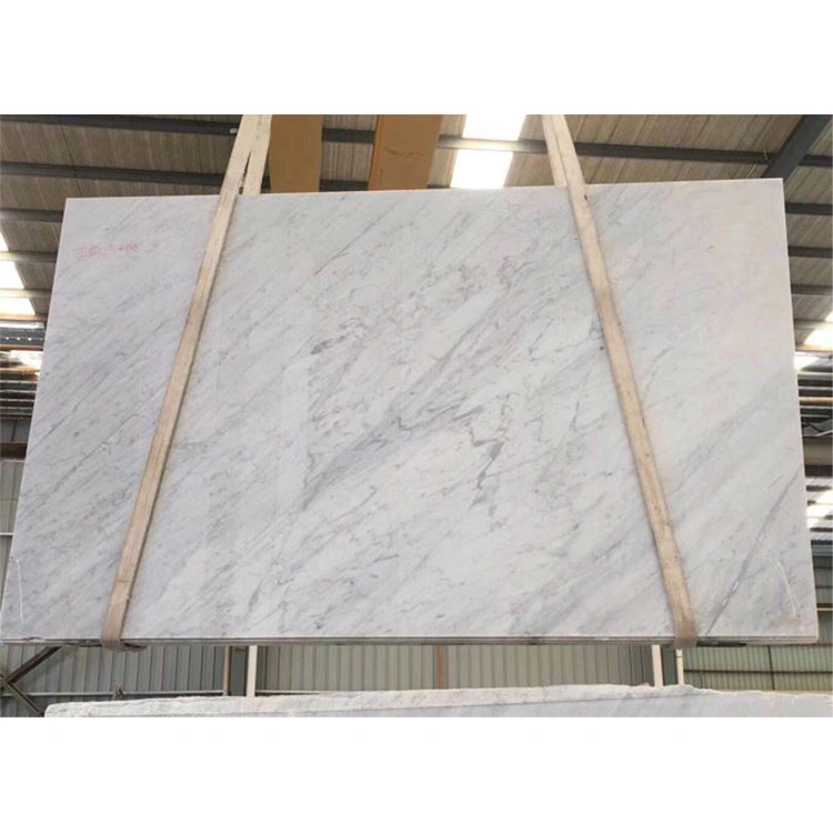 Modern Design Floor Wall Bathroom Kitchen Lobby Stone Slab Matte Surface Marble Tiles Italian Carrara White Marble Tile