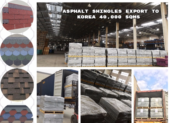 Asphalt Shingle Chinese Exporters Laminated Asphalt Fiberglass Roof Tiles for Resort