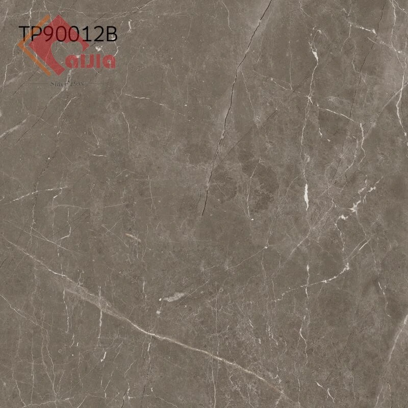 900*900mm Fullbody Porcelain Wall and Floor Tile Olympia Tile Terrazzo Tile in Canadian Market
