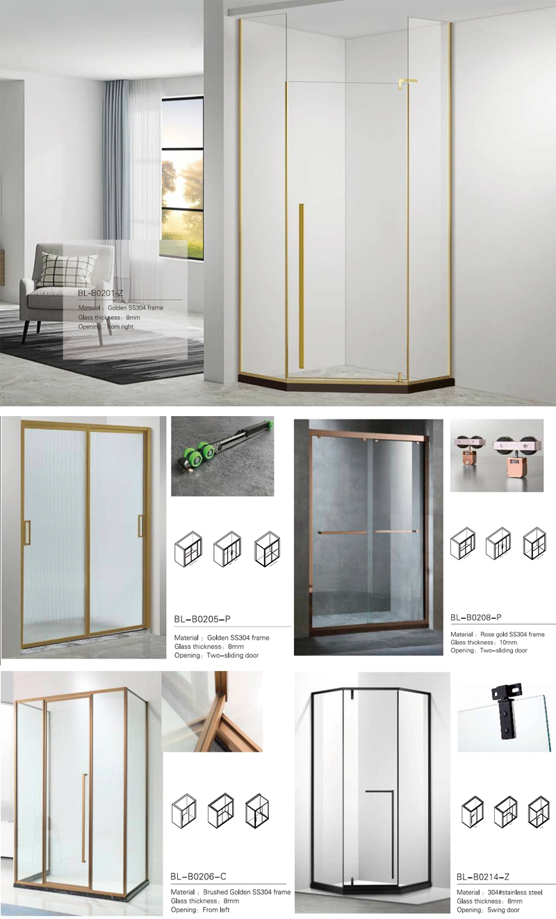 Foshan High Quality Gray Gun Stainless Steel Frame Xinyi Brand Shower Glass Door (Bl-B0118-C)