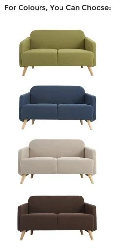 Sofa Small Living Room 2 Seater Modern Nordic Cosy for Studio Apartment Dorm Loveseat Canape High Quality Wholesale Factory