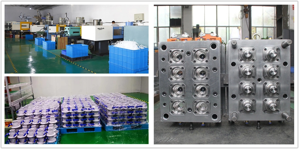 Plastic Screw Cap Injection Molded Plastic Parts Injection Mold